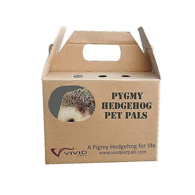 Pygmy Hedgehog Pet Pals Garden Ornament