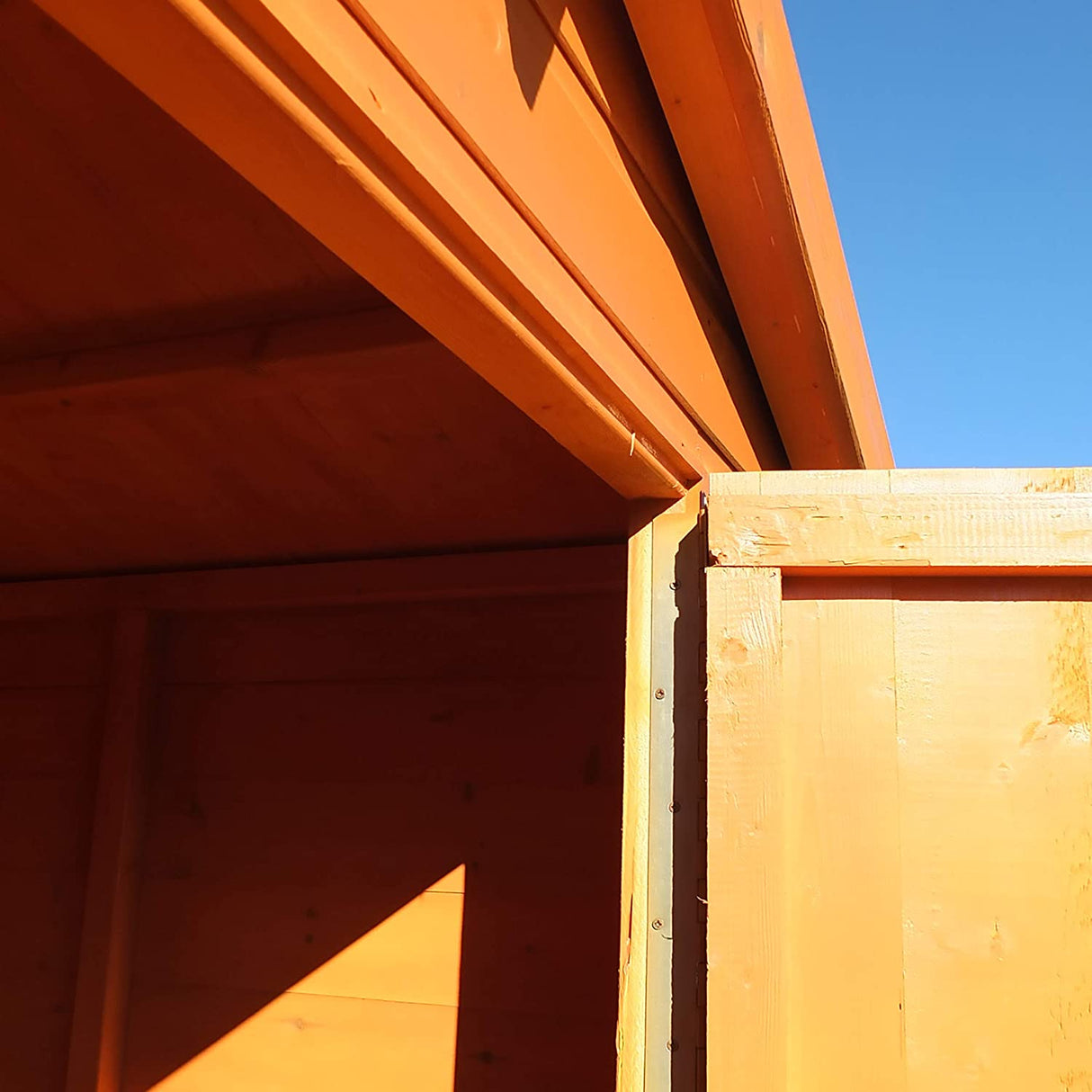 Shire Security Apex 8x6 Single Door Shed