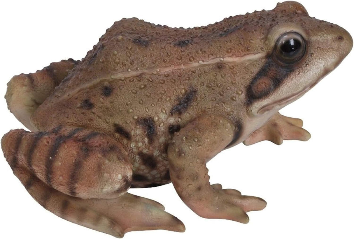 Frog Garden Ornament