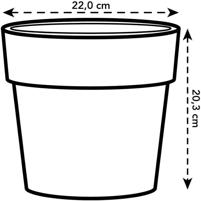 B.for Original Round 22cm - Ochre