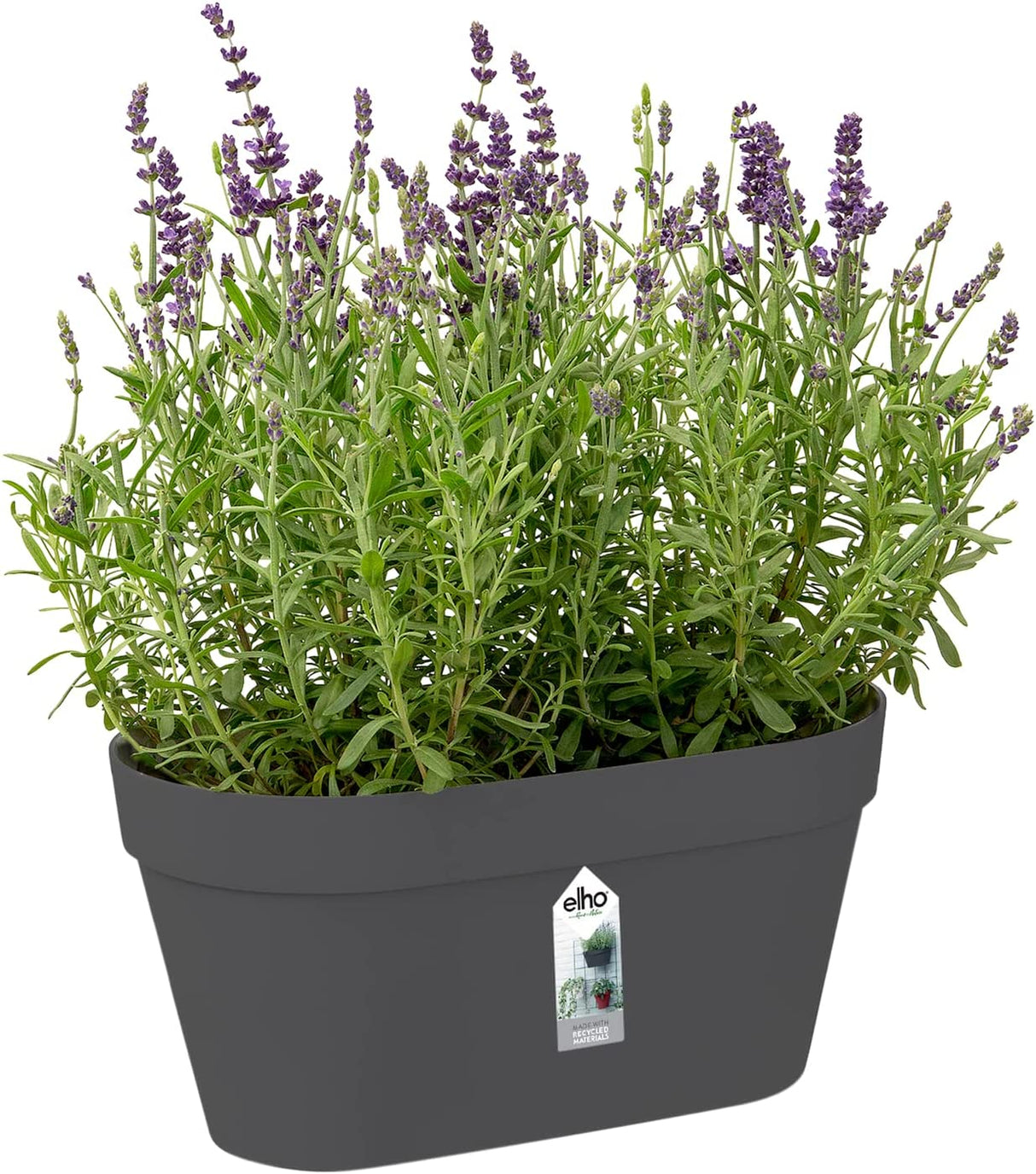Loft Urban Green Wall Pot Duo 28cm - Anthracite