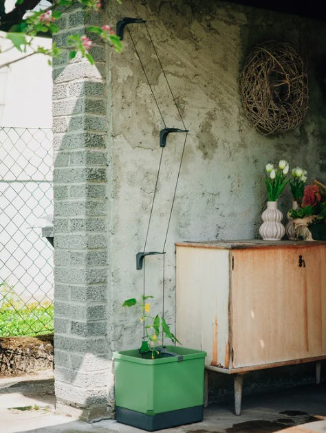 Curt Cucumber Planter Blue - Climbing Aid & Self-Watering System