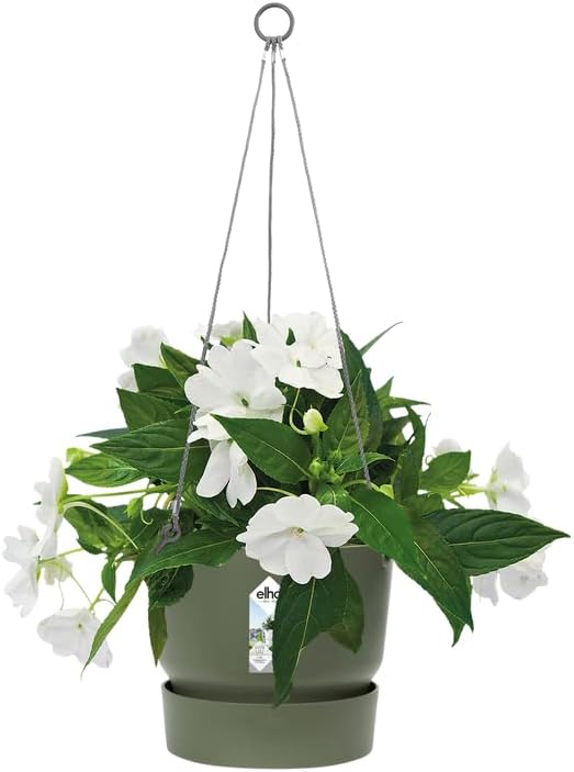 Greenville 24cm Hanging Basket - Leaf Green