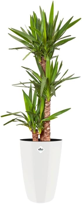 Brussels Diamond Round High 27cm - White