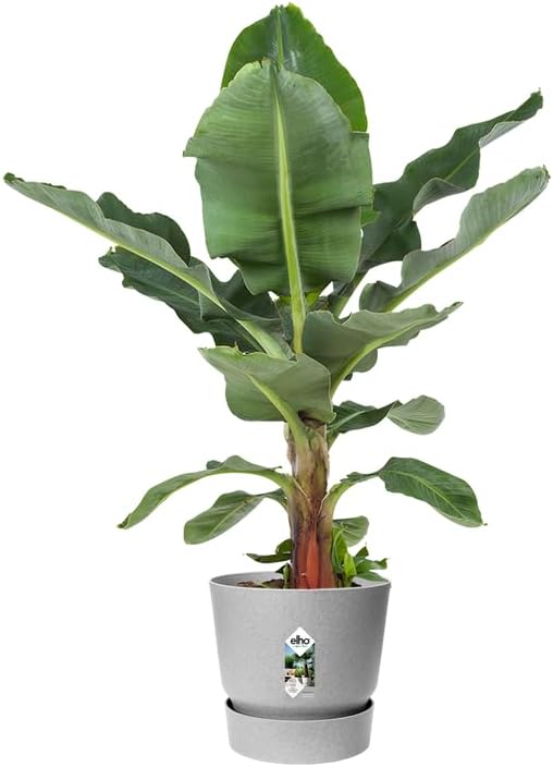 Greenville Round 30cm - Living Concrete