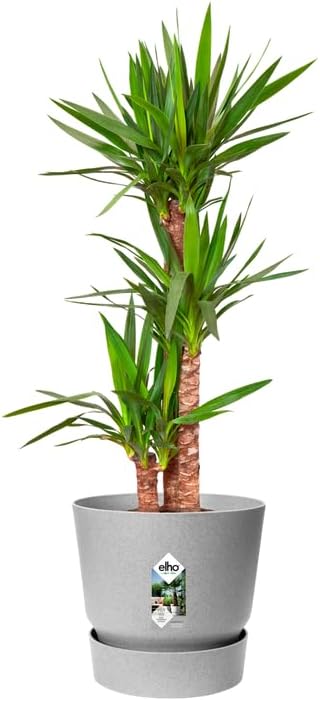 Greenville Round 30cm - Living Concrete