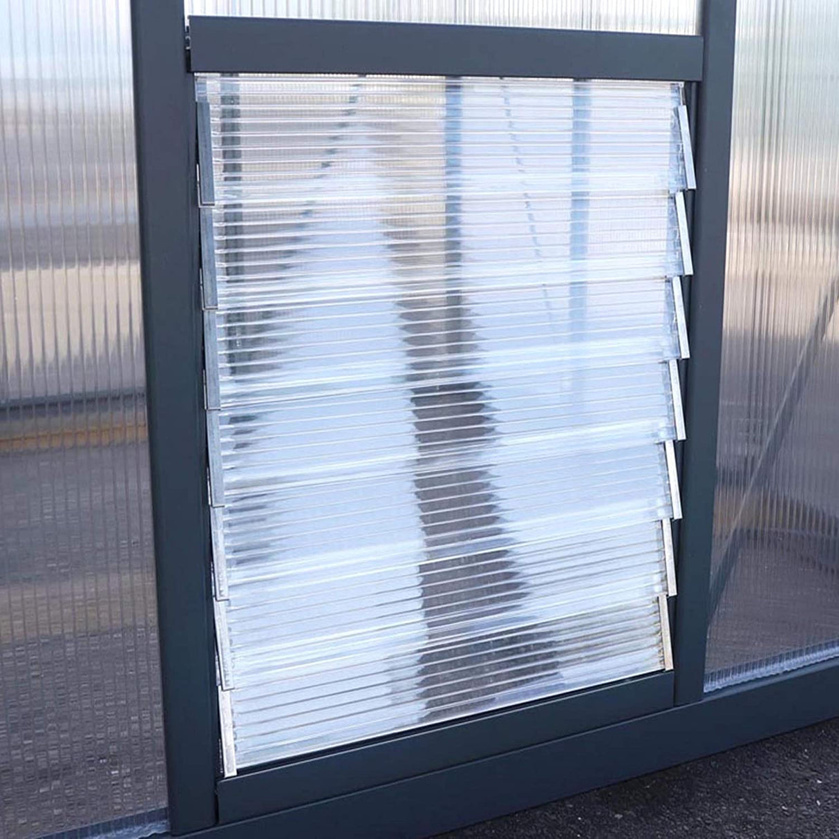 Glory 6' x 8' Greenhouse - Grey Frame & Multiwall Polycarbonate Panels