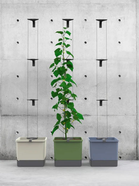 Curt Cucumber Planter Blue - Climbing Aid & Self-Watering System