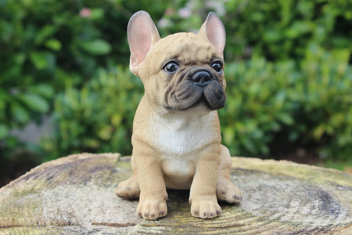 French Bulldog Puppy Pet Pals Garden Ornament