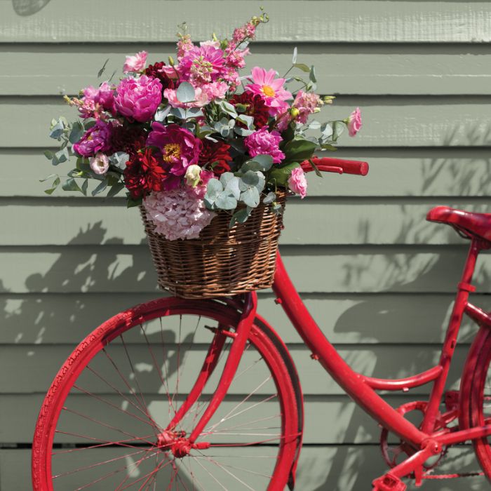 Sandtex Rapid Dry Plus High Gloss 750ml - Bay Tree