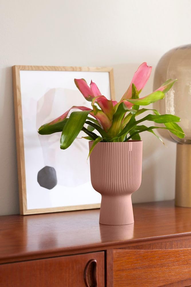 Vibes Fold Coupe 14cm Delicate Pink