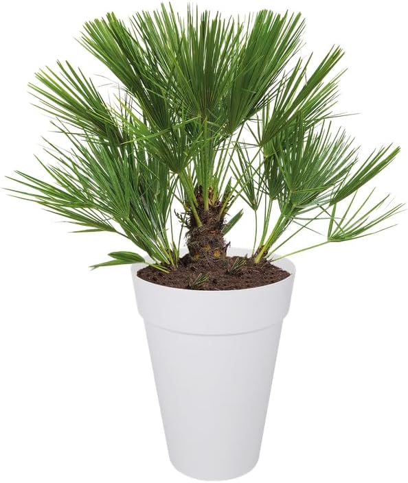 Loft Urban Round High 42cm - White