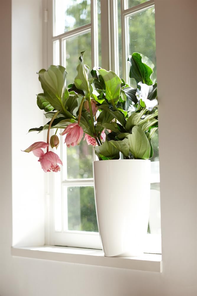 Brussels Diamond Round High 32cm - White