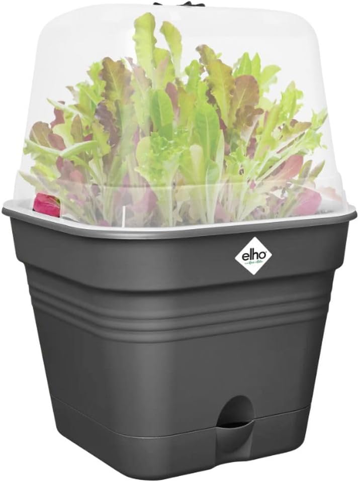 Green Basics Square All in 1 Growpot 25cm - Living Black