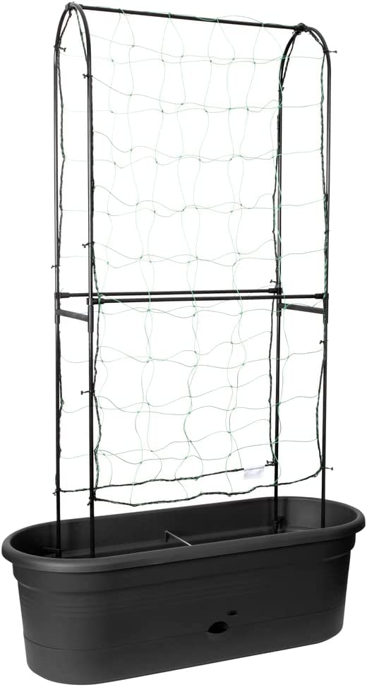 Green Basics Veggie Wall 80cm Living Black