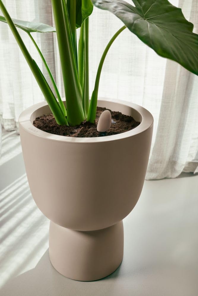 Smart Pebble - Plantcare - Plant App with Wifi