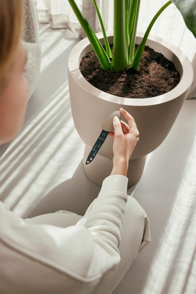 Smart Pebble - Plantcare - Plant App with Wifi