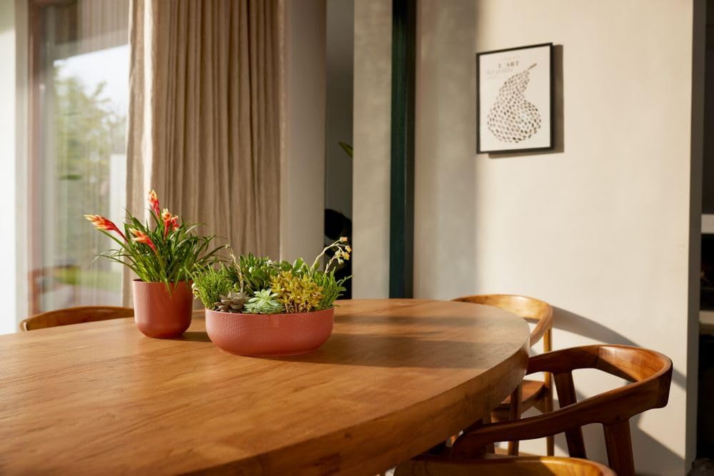 Jazz Bowl 28cm - Tuscan Red