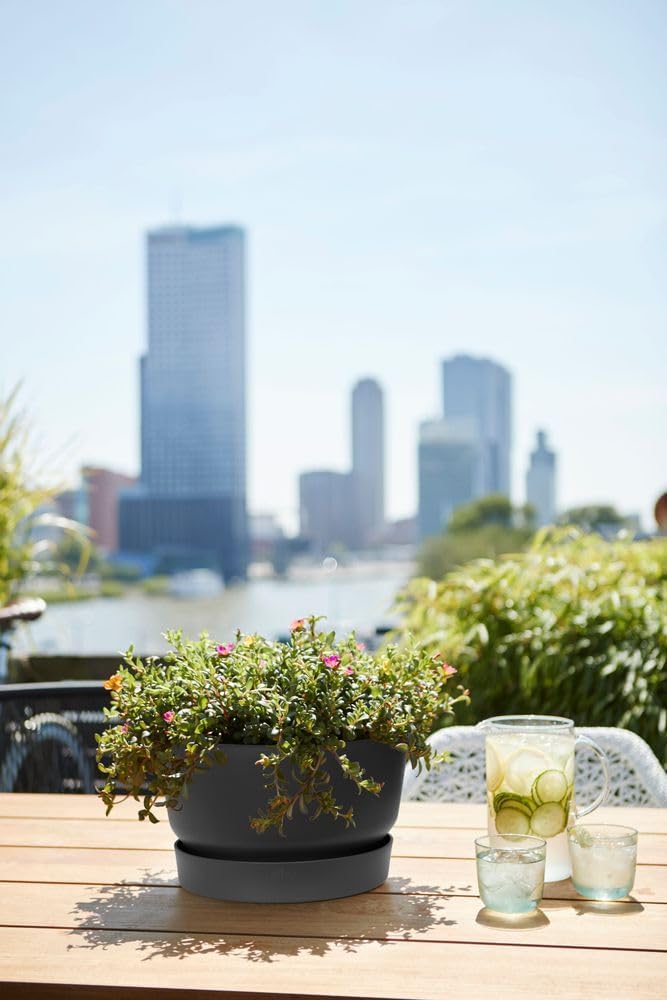 Greenville Bowl 33cm - Living Black