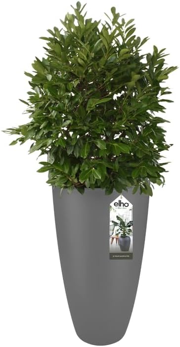 Pure Soft Round High 50cm - Anthracite