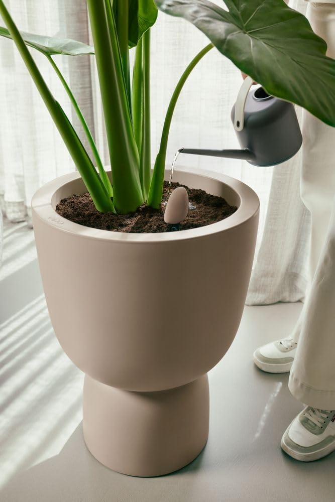 Smart Pebble - Plantcare - Plant App with Wifi