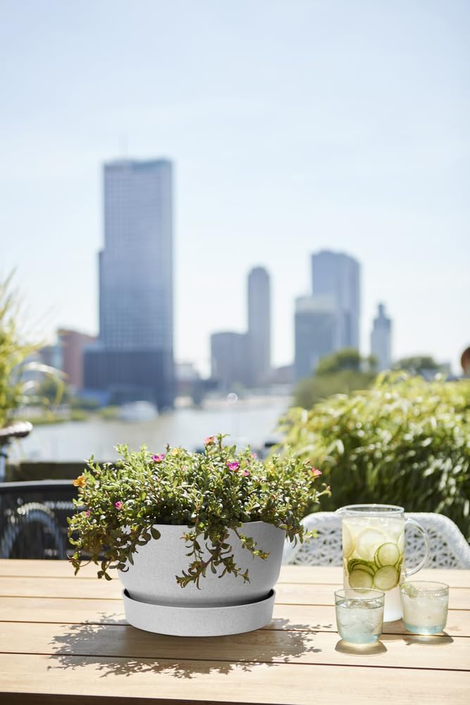 Greenville Bowl 33cm - Living Concrete