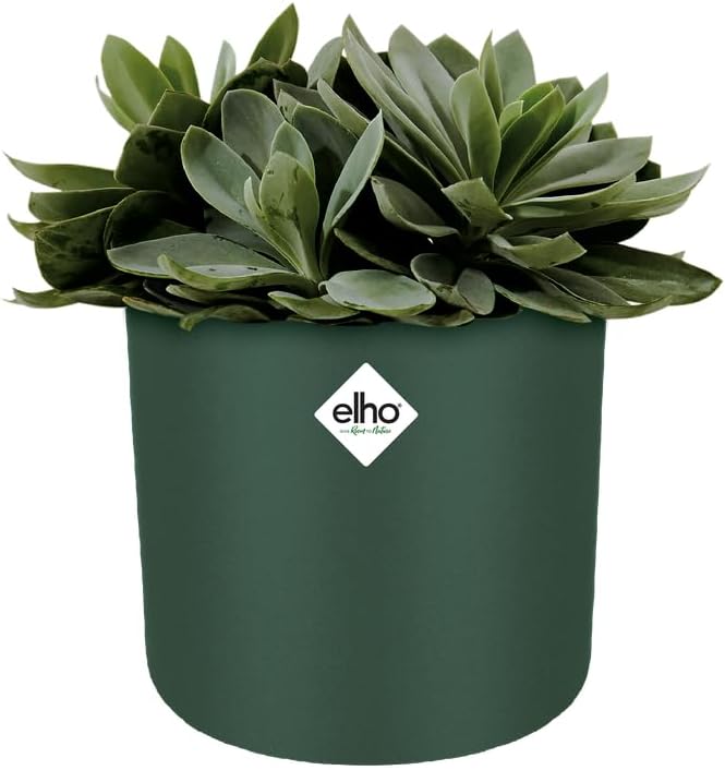 B.for Soft 18cm - Leaf Green
