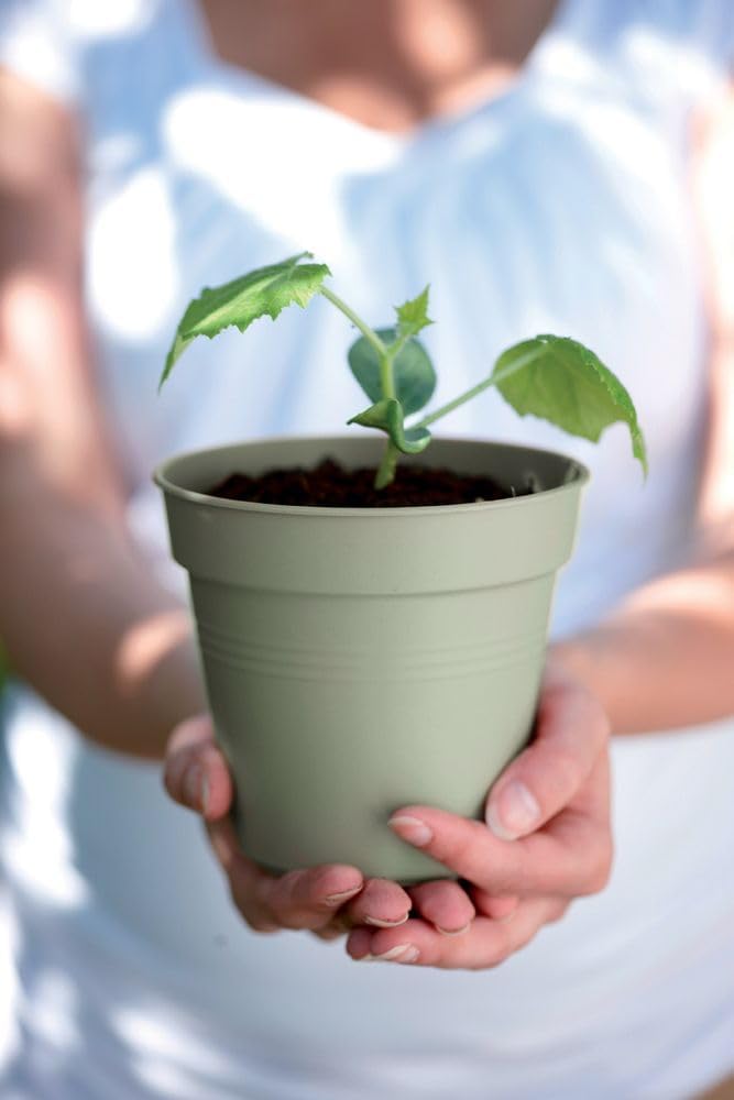 Green Basics Grow Pot 17cm - Stone Green