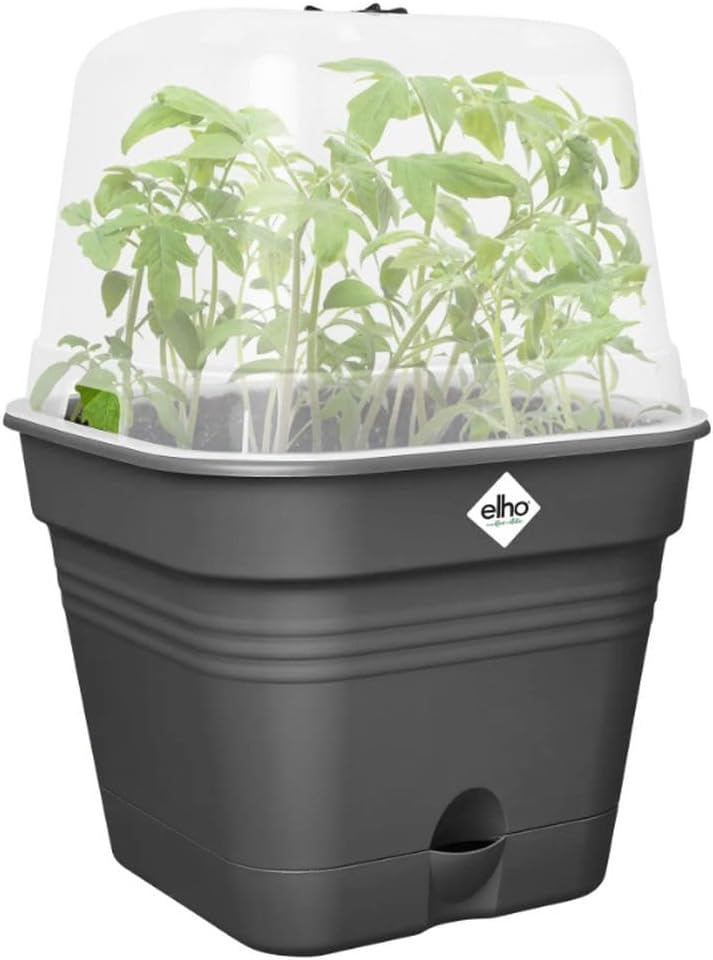 Green Basics Square All in 1 Growpot 30cm - Living Black