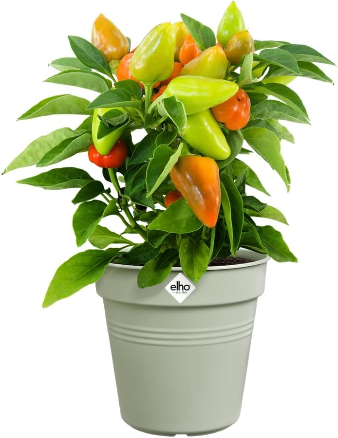 Green Basics Grow Pot 17cm - Stone Green