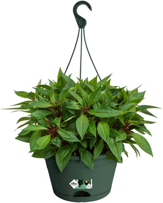 Green Basics Hanging Basket 28cm - Leaf Green