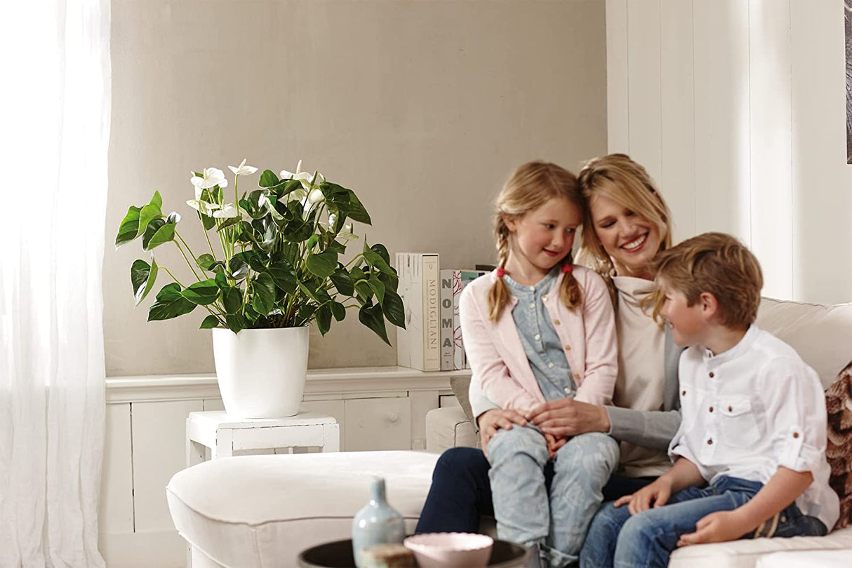 Brussels Round 30cm - White