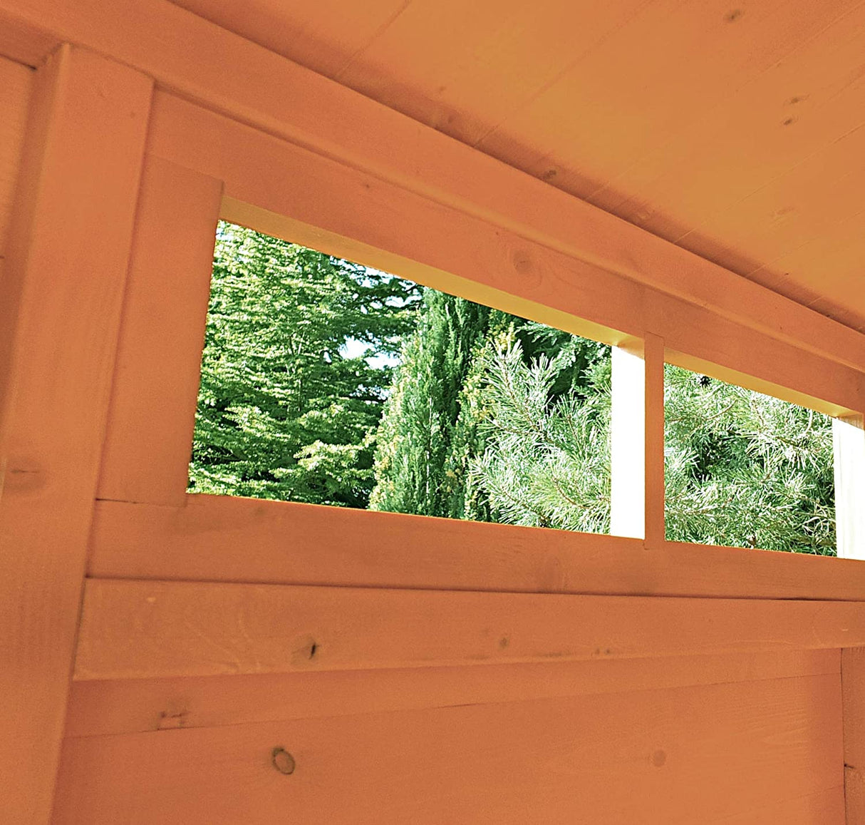 Shire Security Apex 10x10 Single Door Shed