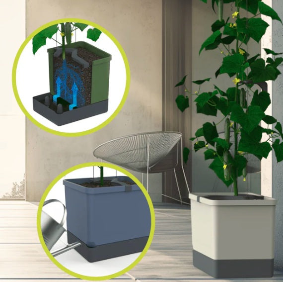 Curt Cucumber Planter Light Grey - Climbing Aid & Self-Watering System