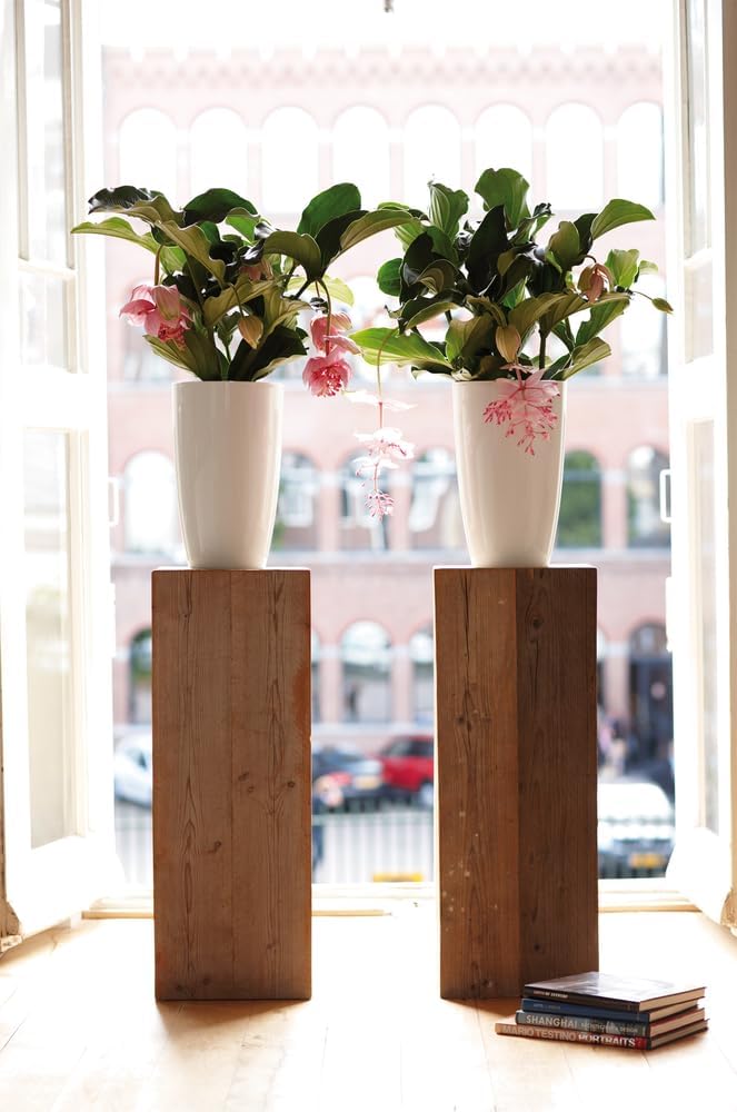 Brussels Diamond Round High 27cm - White