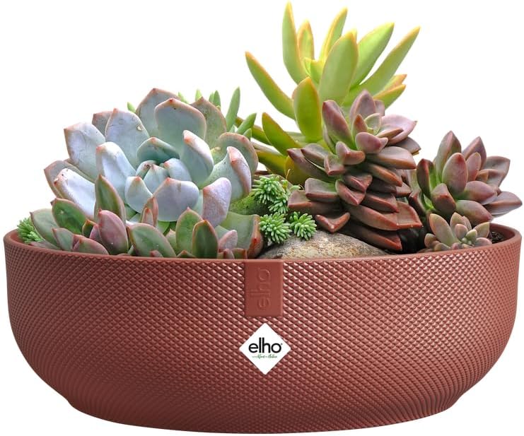 Jazz Bowl 28cm - Tuscan Red