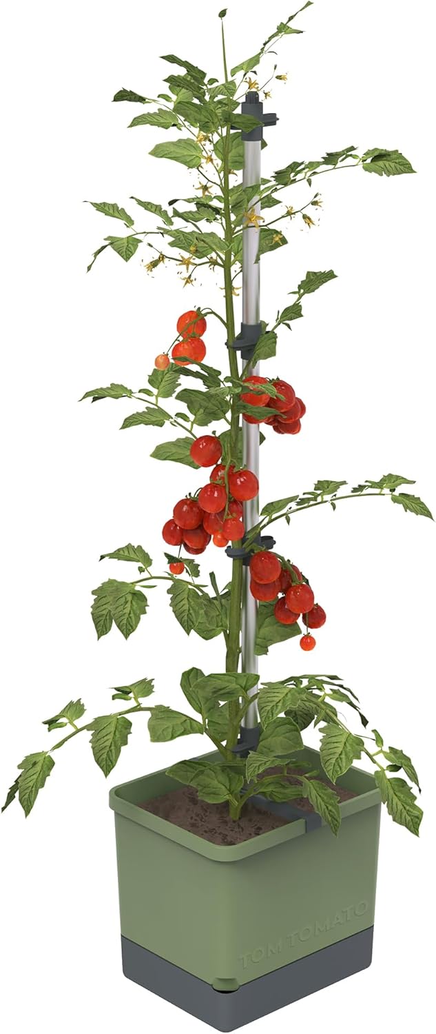Tom Tomato Planter Dark Green - Climbing Aid, Self-Watering System & Plant Clips
