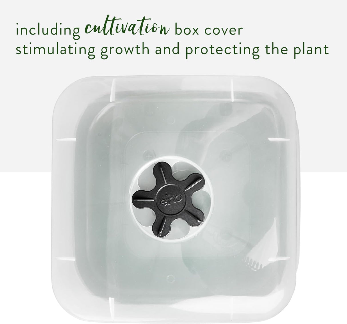 Green Basics Square All in 1 Growpot 25cm - Leaf Green