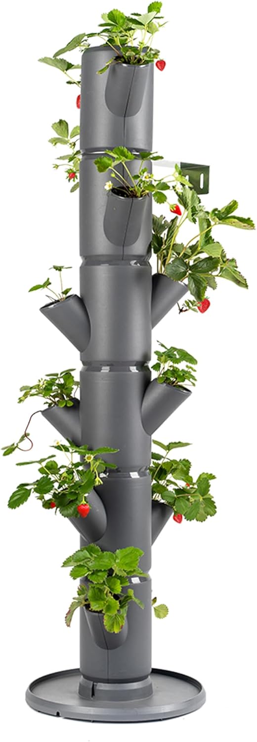 Sissi Strawberry Planter Classic - Grey