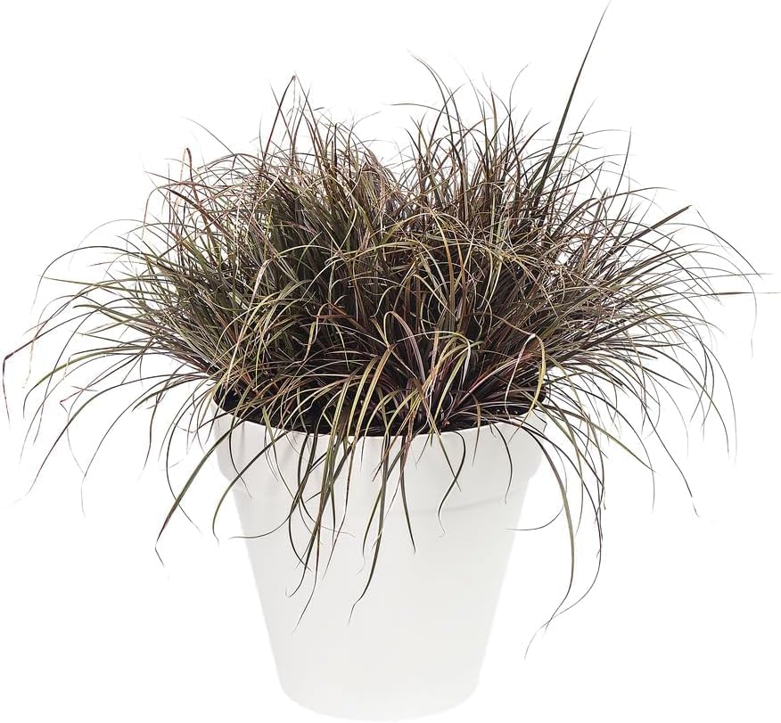 Urban Jungle Plant Pot - Indoor or Outdoor - 22cm White