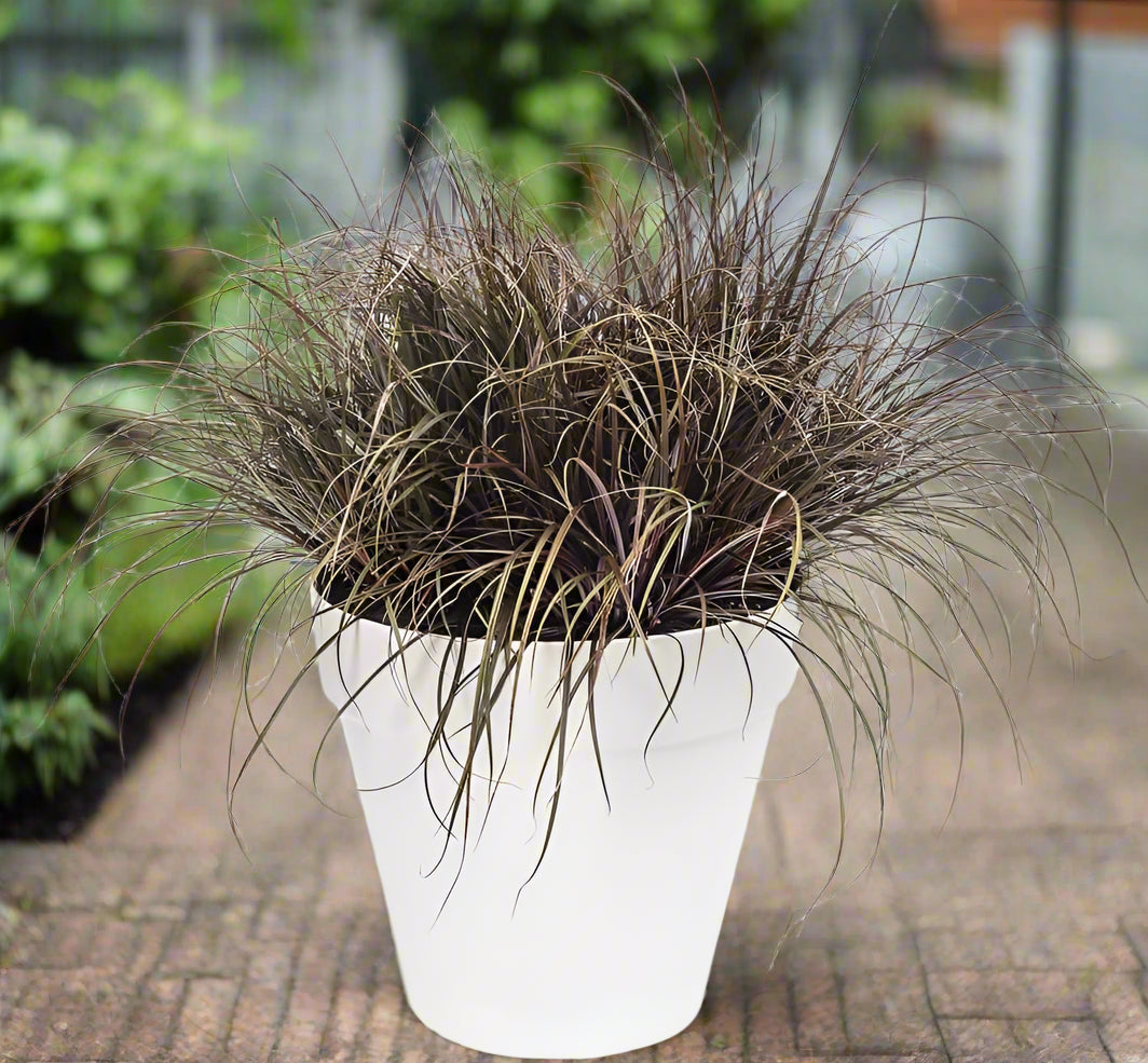 Urban Jungle Plant Pot - Indoor or Outdoor - 45cm White