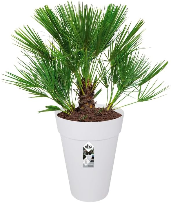 Loft Urban Round High 42cm - White