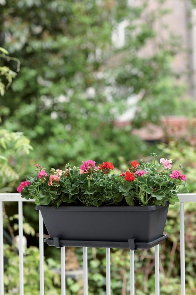 Barcelona Trough 50 - Planter for Balcony & Outdoor - Anthracite