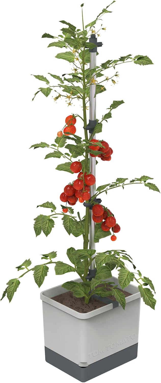 Tom Tomato Planter Light Grey - Climbing Aid, Self-Watering System & Plant Clips