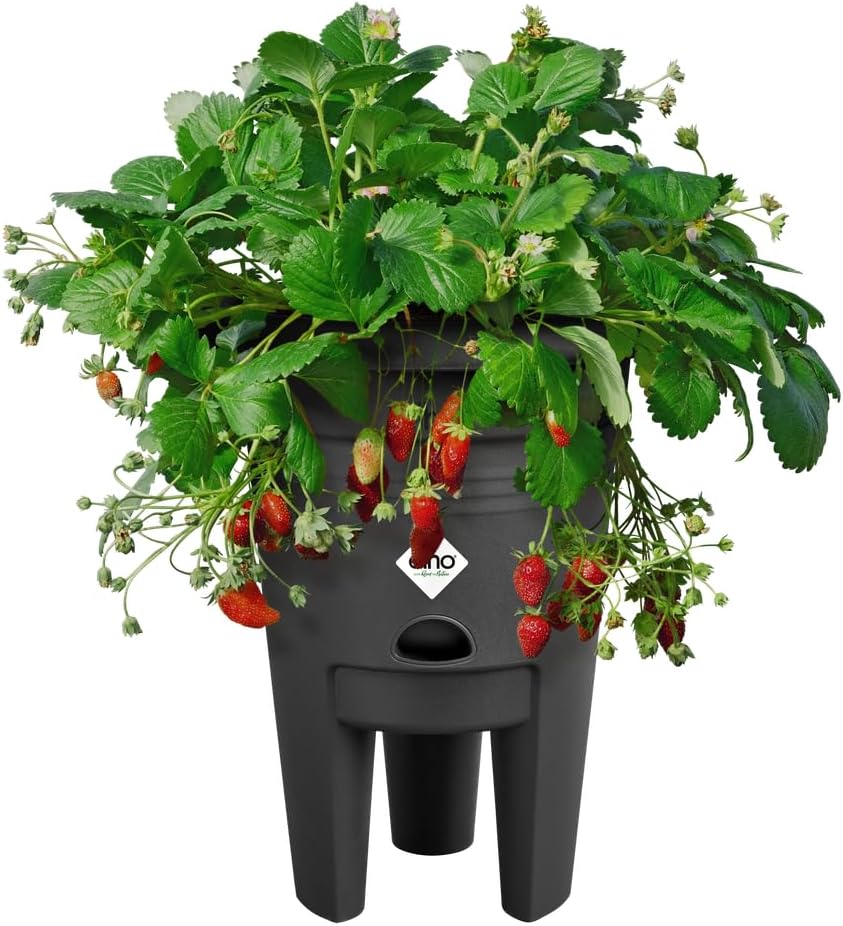 Green Basics Strawberry Pot 22cm - Living Black