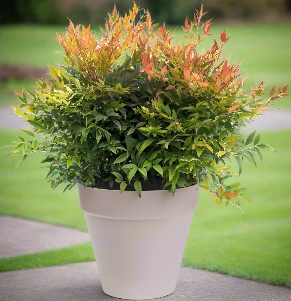Urban Jungle Plant Pot - Indoor or Outdoor - 38cm Warm Grey