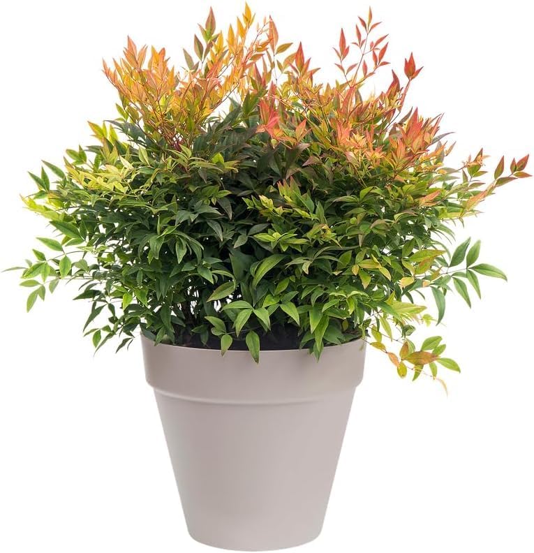Urban Jungle Plant Pot - Indoor or Outdoor - 38cm Warm Grey