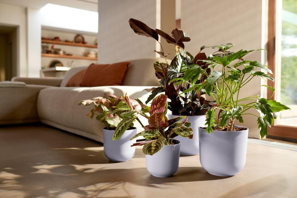 Jazz Round 35cm - Lavender Lilac