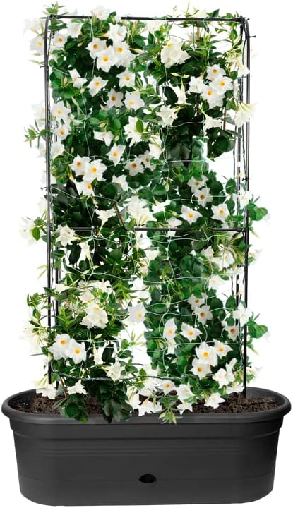 Green Basics Veggie Wall 80cm Living Black