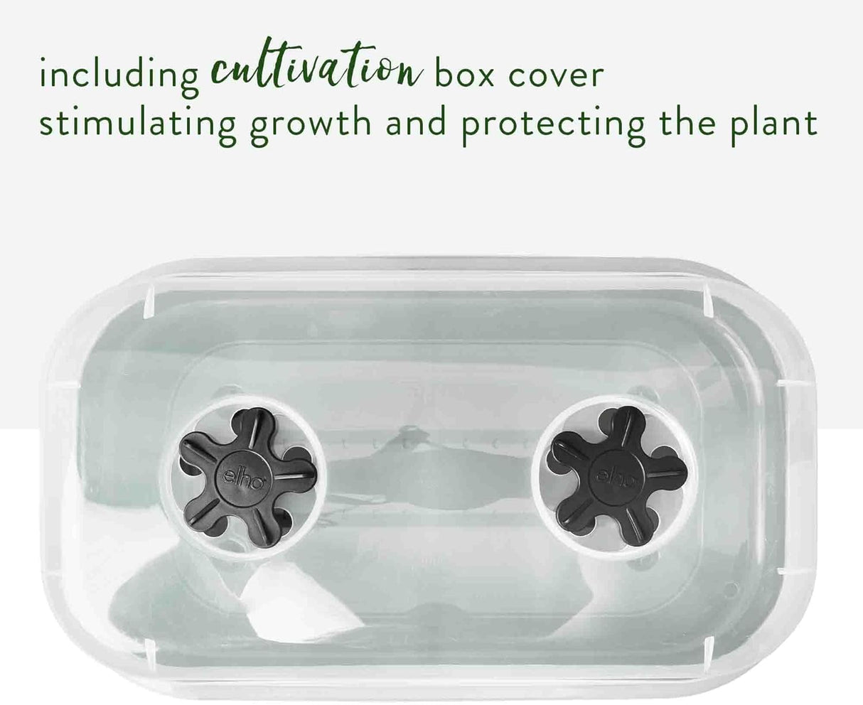 Green Basics All in 1 Medium Grow Tray Leaf Green